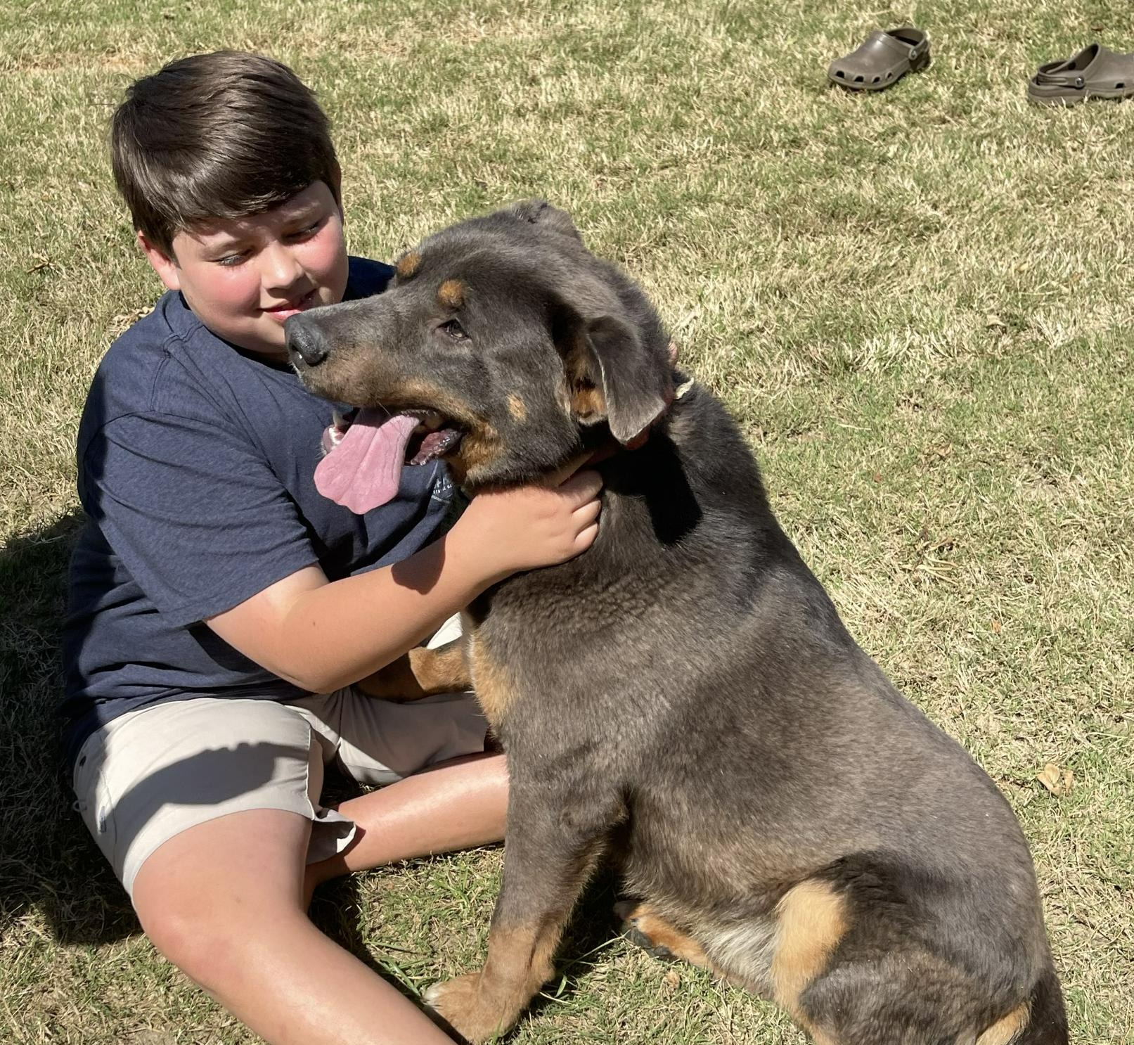 Boy and the Dog