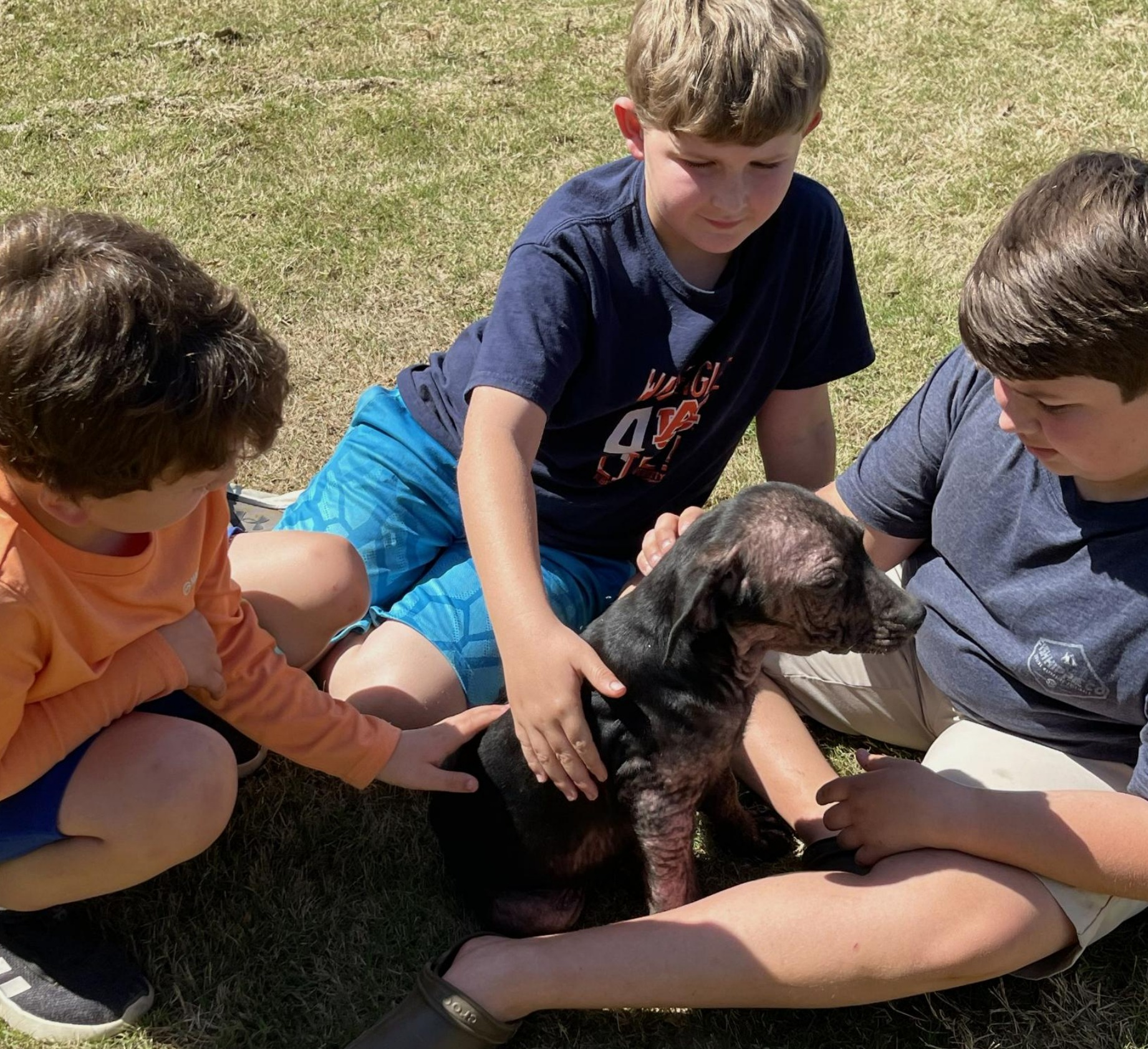 Boys Taking Good Care of the Dog